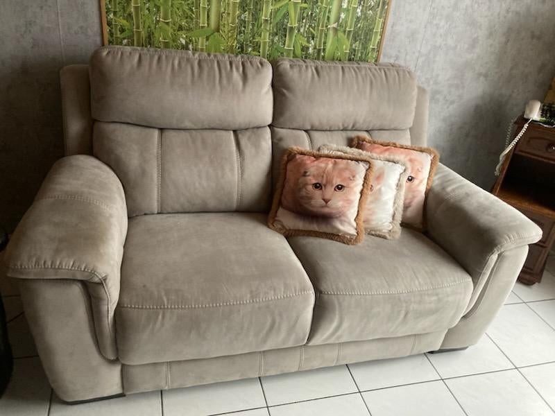 Canapé 2 places taupe, 75 à 100 cm, Enlèvement, Utilisé, Classique