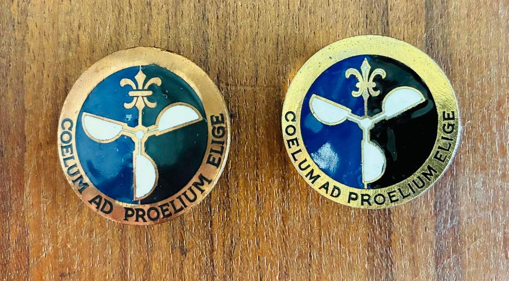 USAAF WW2 Distinctive Unit Insignia, Collections, Enlèvement ou Envoi, Armée de l'air, Emblème ou Badge