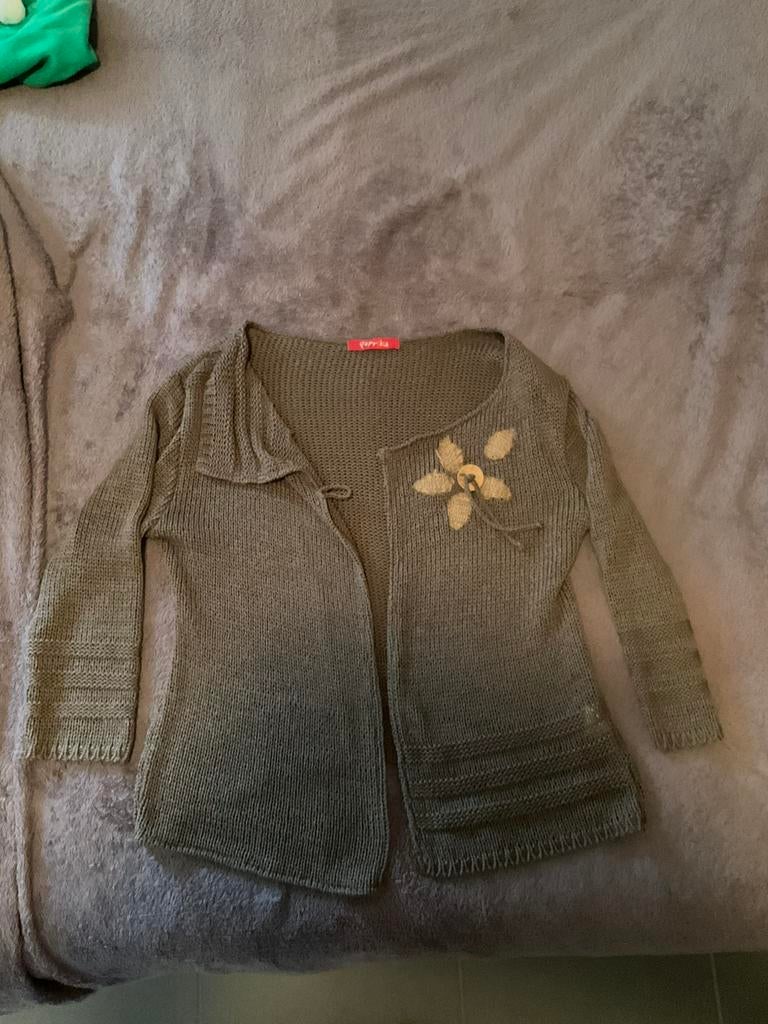 Taupekleurige gilet, merk paprika, T1, Bruin, Maat 42/44 (L), Ophalen of Verzenden, Zo goed als nieuw