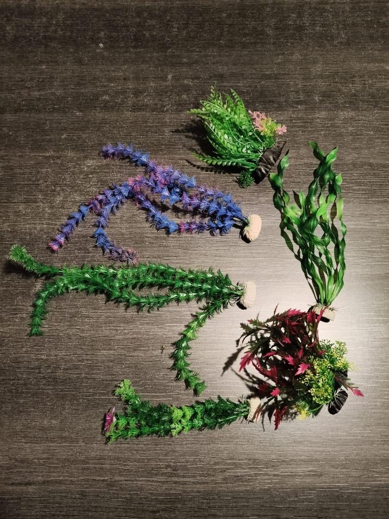 Kunstmatige aquariumplanten, Ophalen, Gebruikt, Plant(en), Steen of Hout