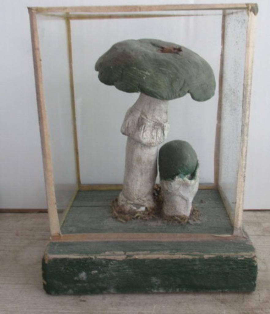 modèles botaniques anciens champignons dans une boîte en ver, Antiquités & Art, Envoi