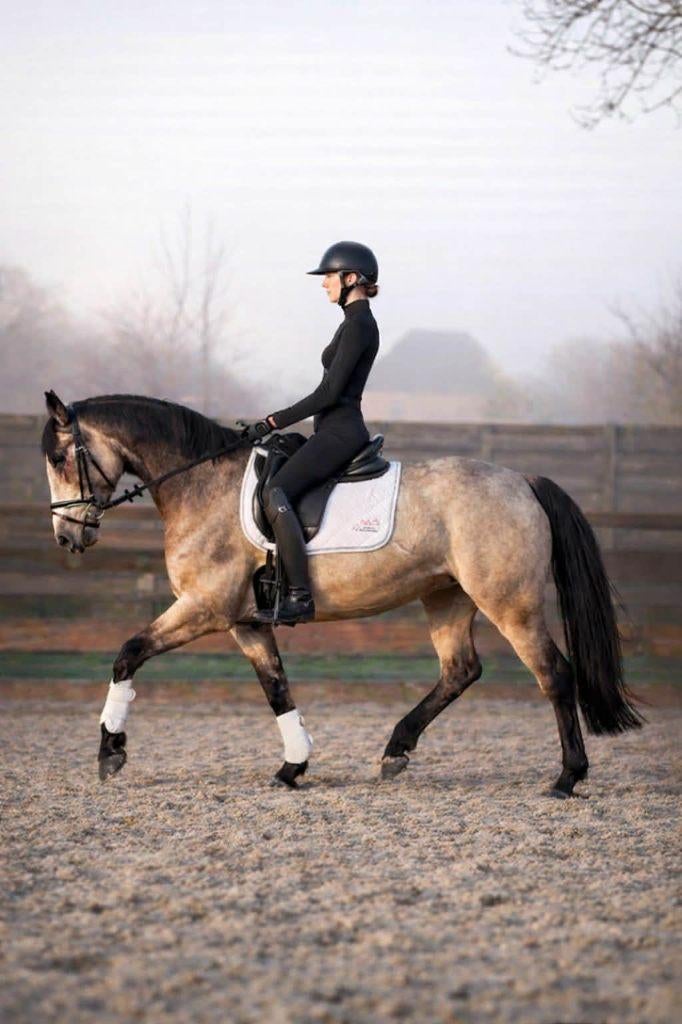 Mooie valkkleurige allround E-pony/Damespaardje, Dieren en Toebehoren, Paarden, Merrie, L, Minder dan 160 cm, 3 tot 6 jaar, Dressuurpaard