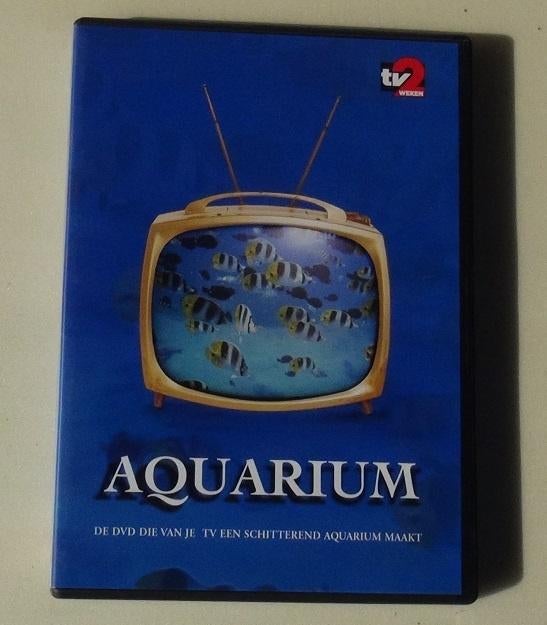 Originele DVD Actie, Steamy, Tristan, True Women, Aspe e a, Ophalen of Verzenden, Gebruikt, Actie