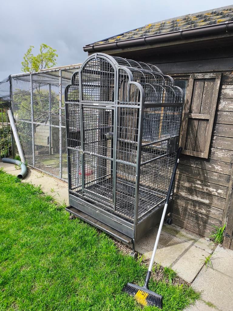 Papegaai kooi, Dieren en Toebehoren, Ophalen, Gebruikt, Metaal, Vogelkooi