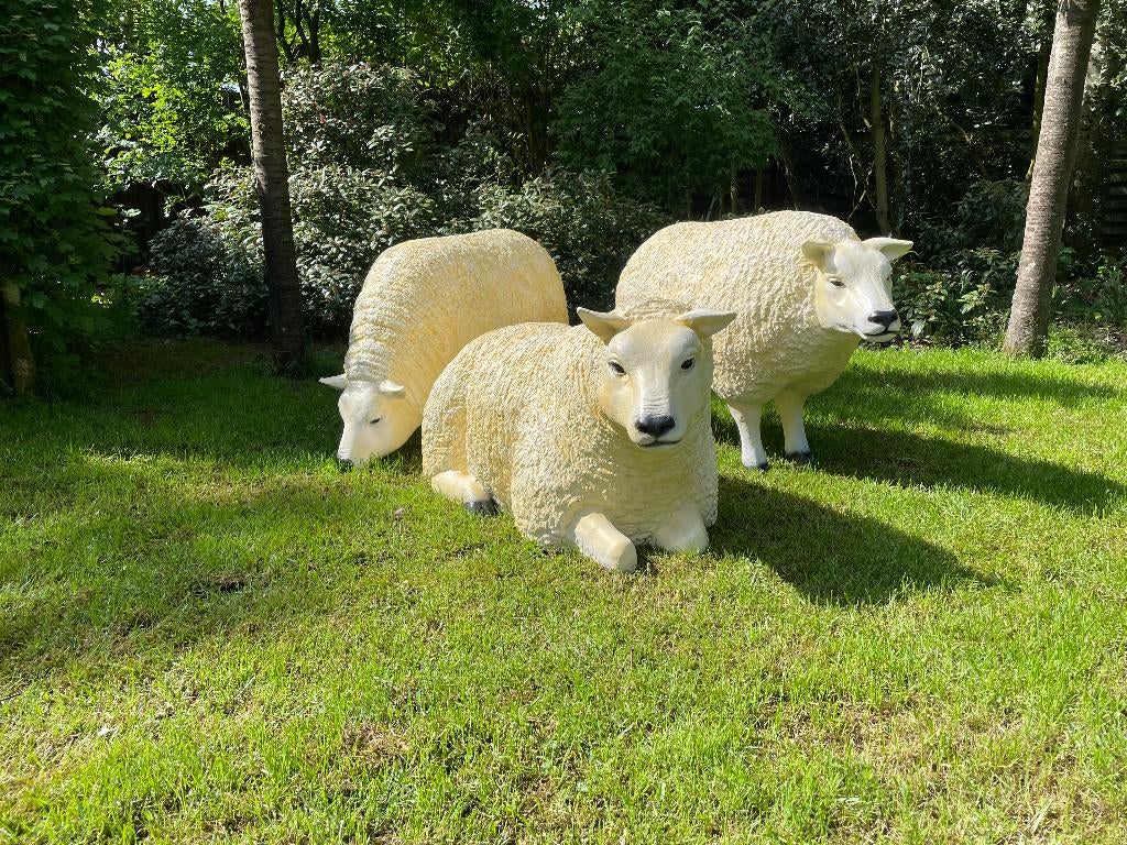 3 x Texel schaap, gazon, tuin, boerderij 100cm, Ophalen, Nieuw, Kunststof, Dierenbeeld