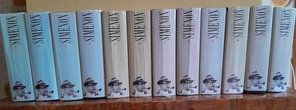 12 livres "Tout Simenon", Livres, Enlèvement