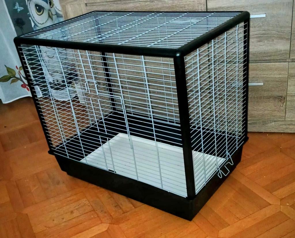 Vogelkooi!, Enlèvement, Cage à oiseaux