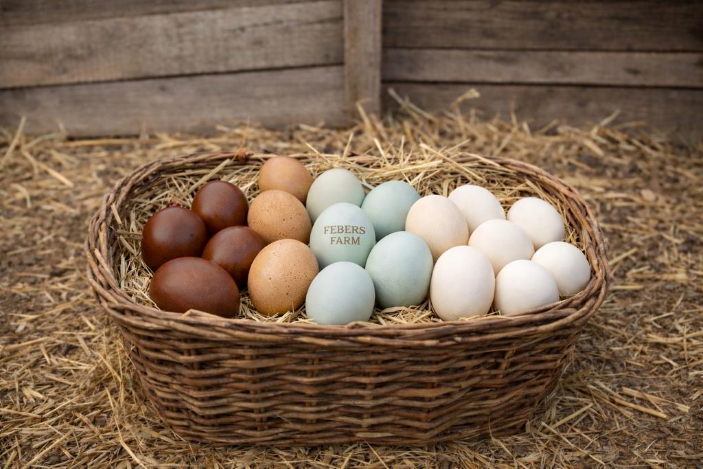 ŒUFS À INCUBER DE RACE PURE À VENDRE — RACES MULTIPLES