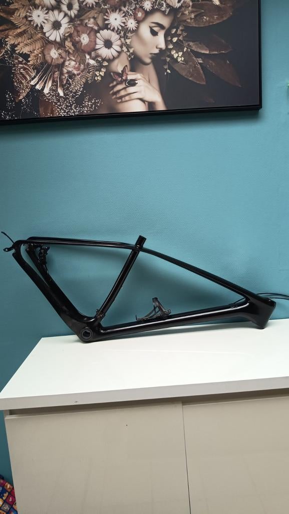Frame carbon MTB 29er M, Ophalen