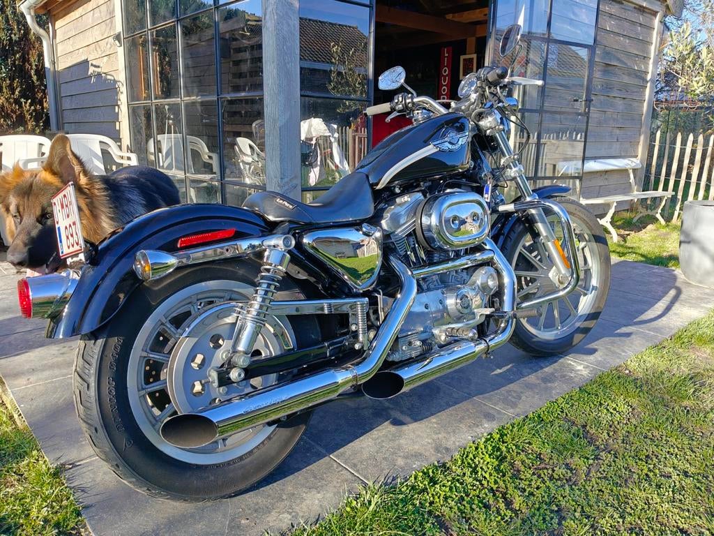 Harley Davidson xlh 883 sportster hugger, Chopper, 2 cylindres, 900 cm³, Neuf