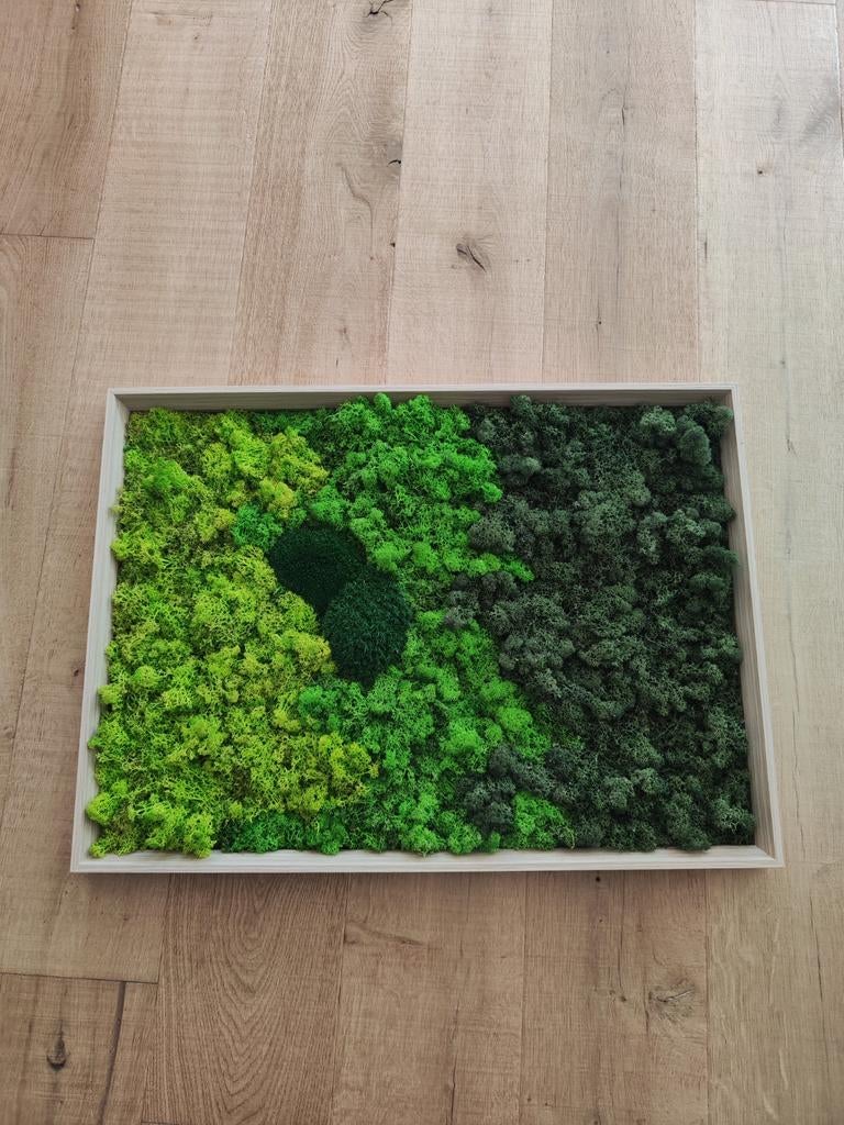 Peinture à la mousse, Enlèvement