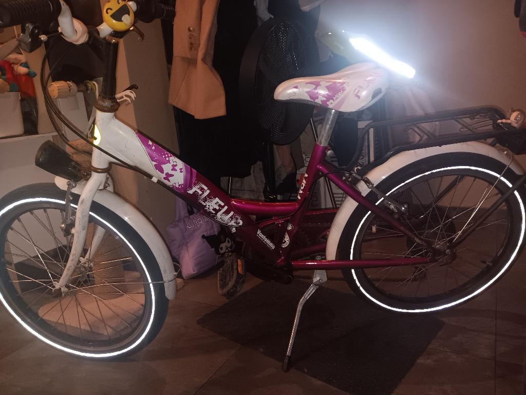 Fiets merk fleur roze, Enlèvement