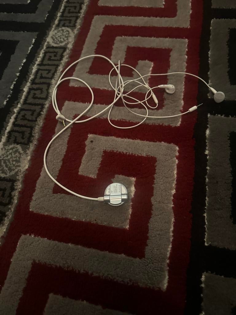 Sonny psp, Enlèvement, PSP