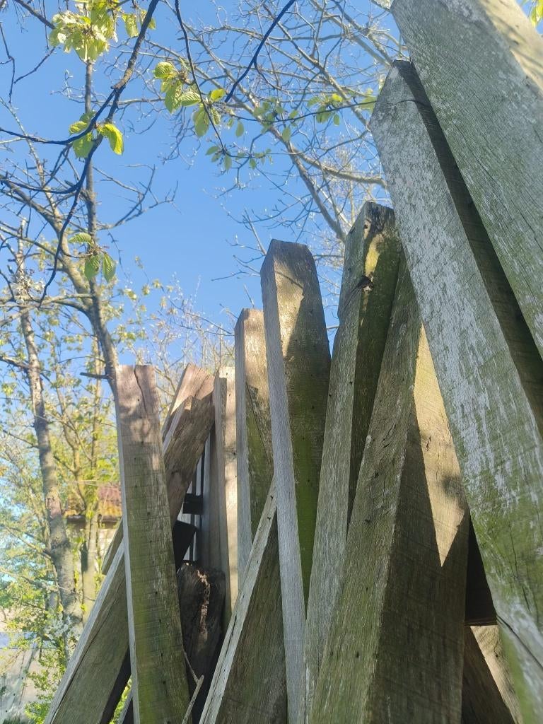 Poutres en chêne massif, Bricolage & Construction, 50 mm ou plus, 250 à 300 cm, Chêne, Enlèvement