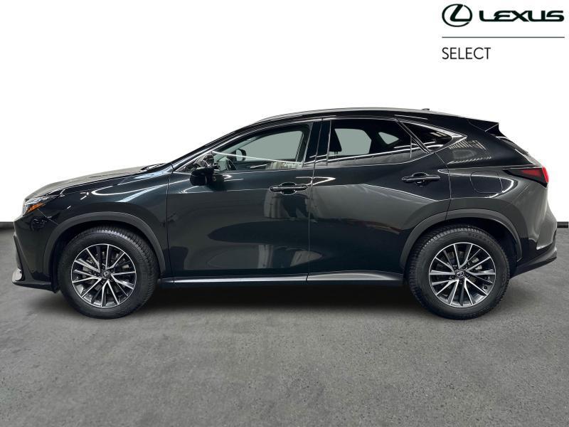 Lexus NX 450h+ Executive Line, Autos, 2487 cm³, Euro 6, 137 kW, Noir