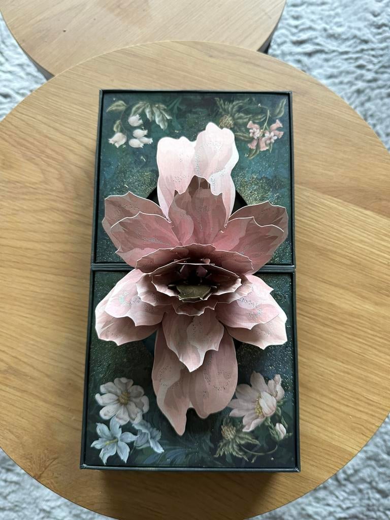 Tomorowland box 2024