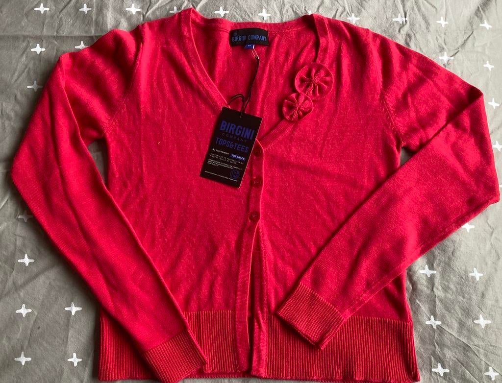 Nieuw truitje Birgini maat 16 jaar, Enfants & Bébés, Vêtements enfant | Taille 176, Comme neuf, Fille, Pull ou Veste, Enlèvement ou Envoi