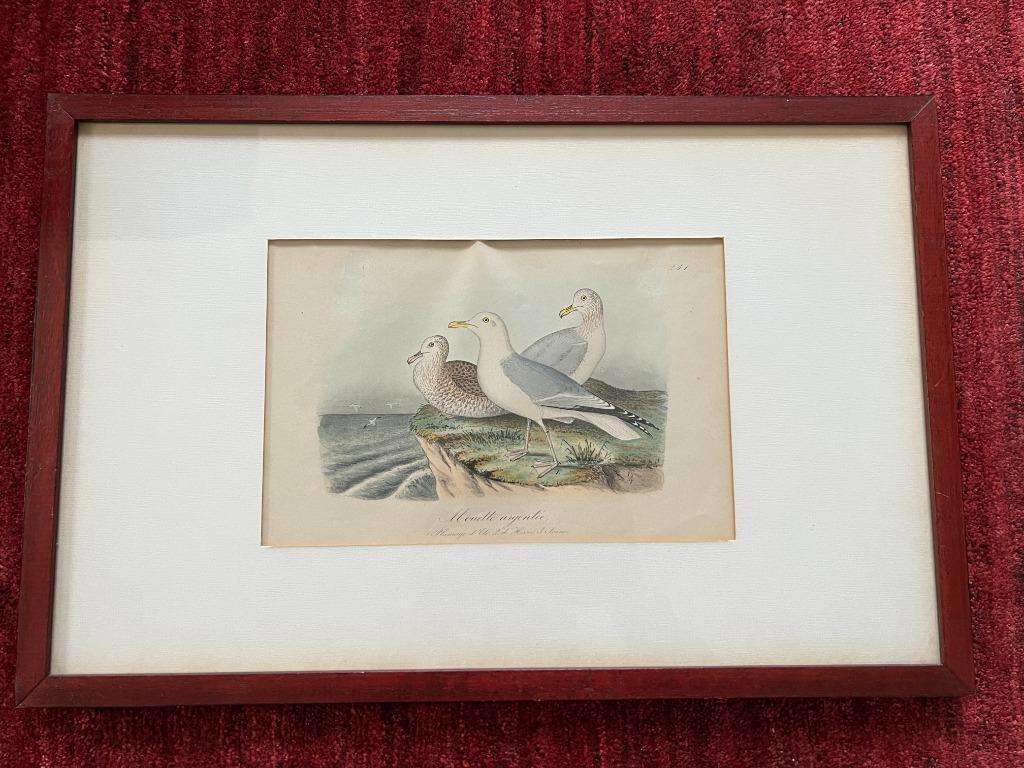 Gravure van vogels., Antiquités & Art, Enlèvement ou Envoi