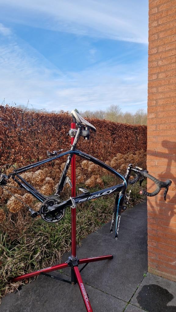 Ridley liz, Enlèvement