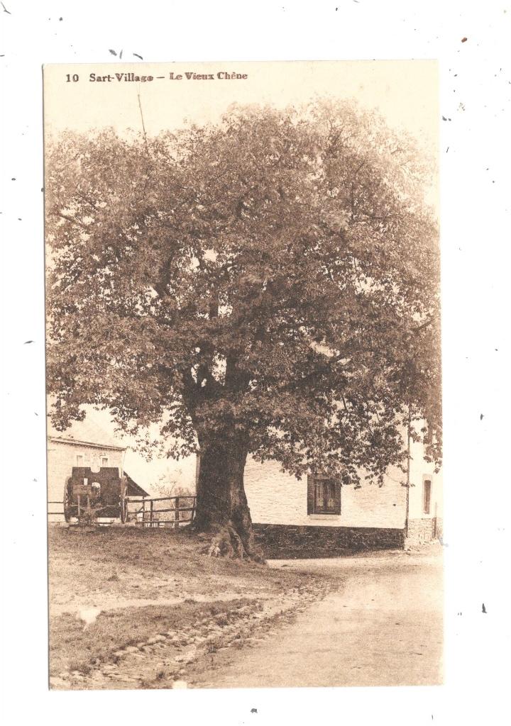 Sart-Village NA5: De oude eik, Verzenden, 1920 tot 1940, Ongelopen, Luik