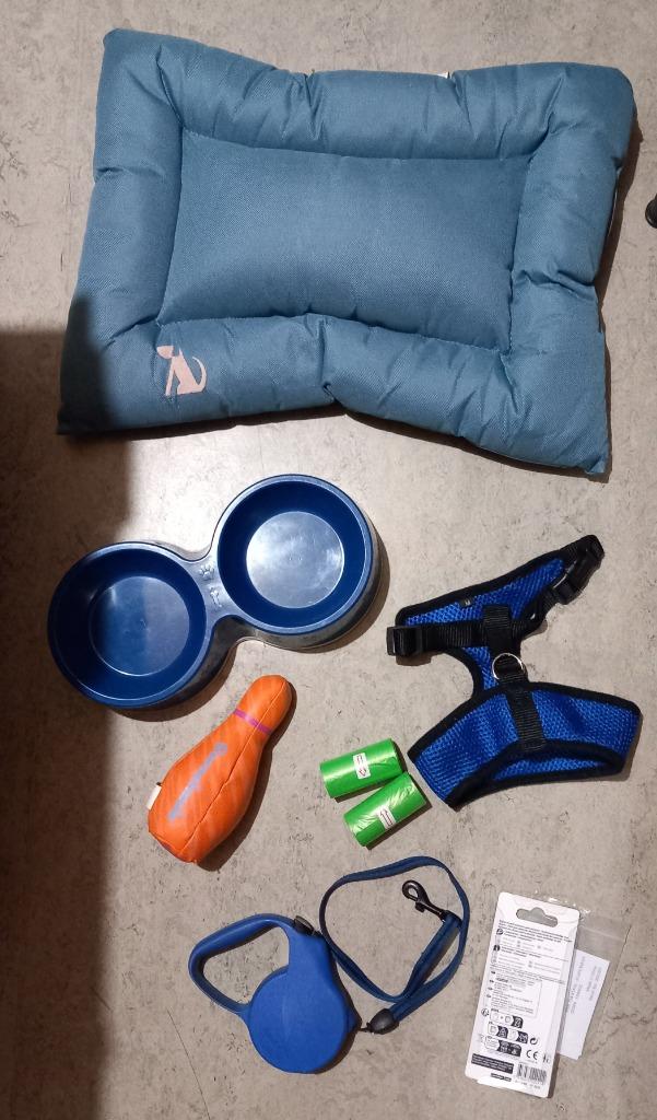 Lot d'articles pour petit chien ou chiot, Animaux & Accessoires, Accessoires pour chiens, Comme neuf, Enlèvement