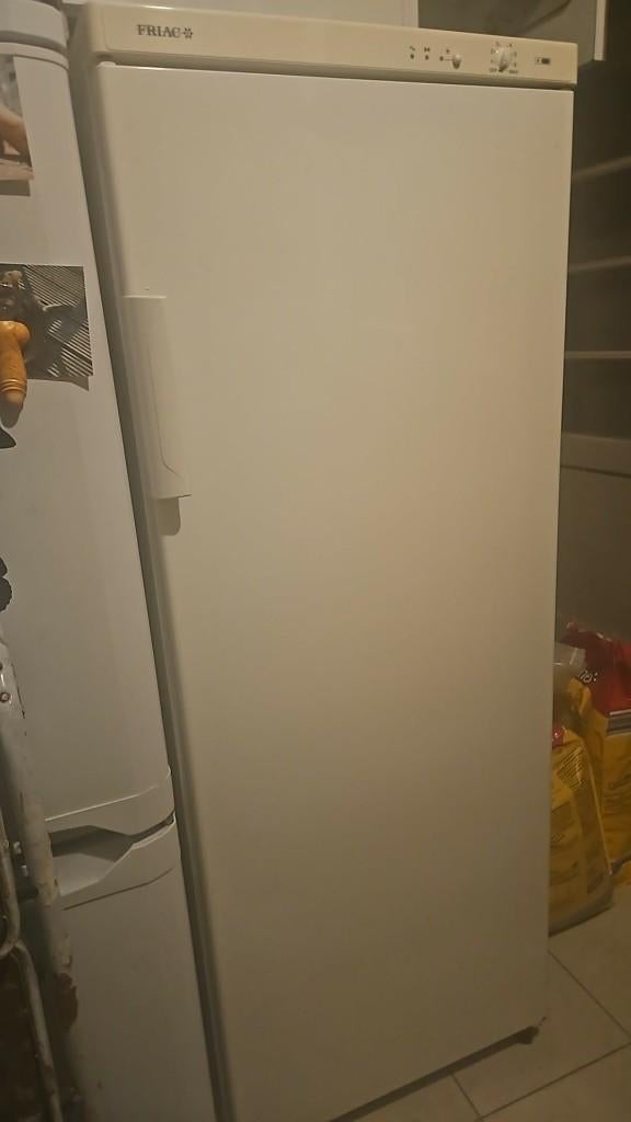 Friac Diepvries, Elektronische apparatuur, Vriezers en Diepvrieskisten, Ophalen