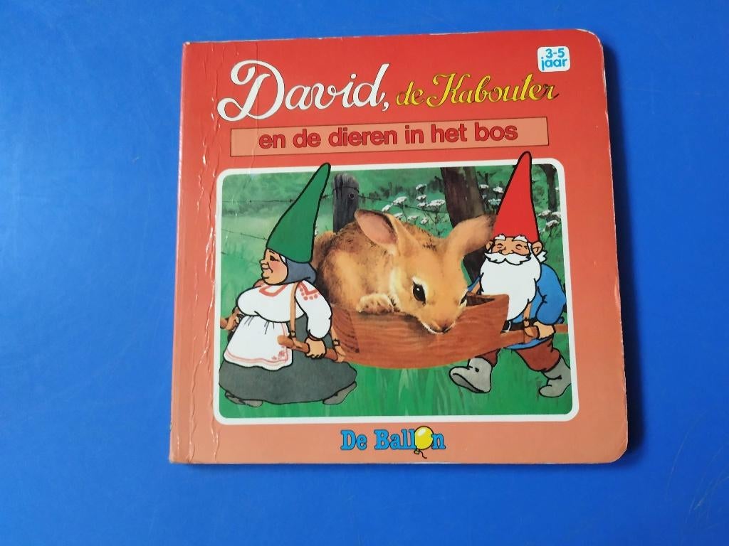 boekje " david de kabouter en de dieren in het bos, Ophalen of Verzenden