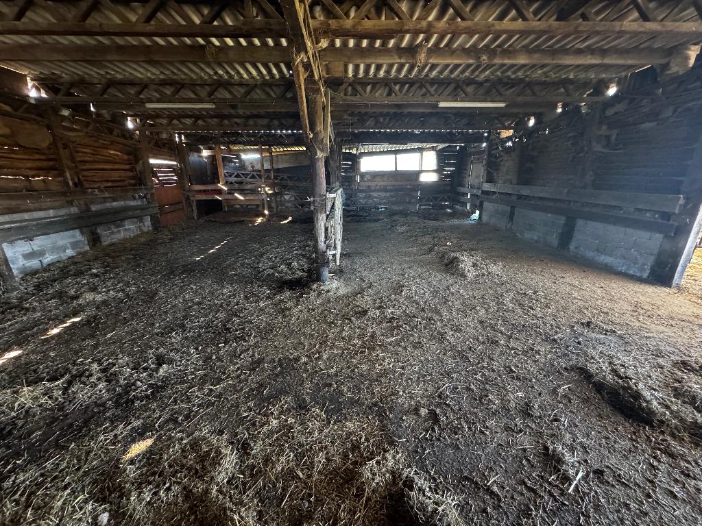 Stalling met weide te huur, Pâturage, 4 chevaux ou poneys ou plus