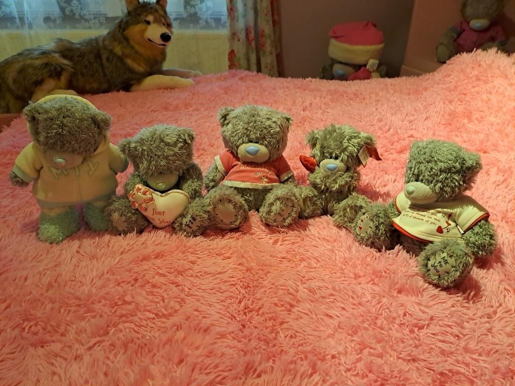 14 ME TO YOU BEERTJES, Verzamelen, Ophalen of Verzenden, Zo goed als nieuw, Stoffen beer, Me To You