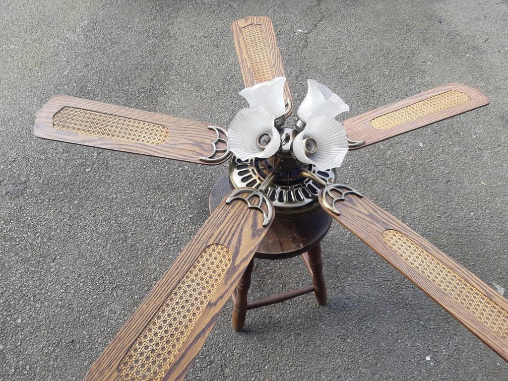 Ventilator luster, Electroménager, Ventilateurs, Enlèvement