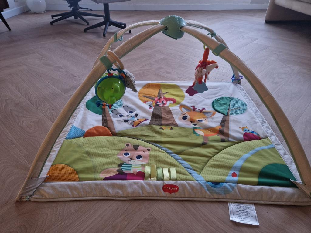 Tiny Love Speelmat, Ophalen, Gebruikt