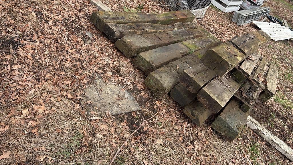 Treinbilzen, 200 cm ou plus, Enlèvement, Utilisé, 25 cm ou plus