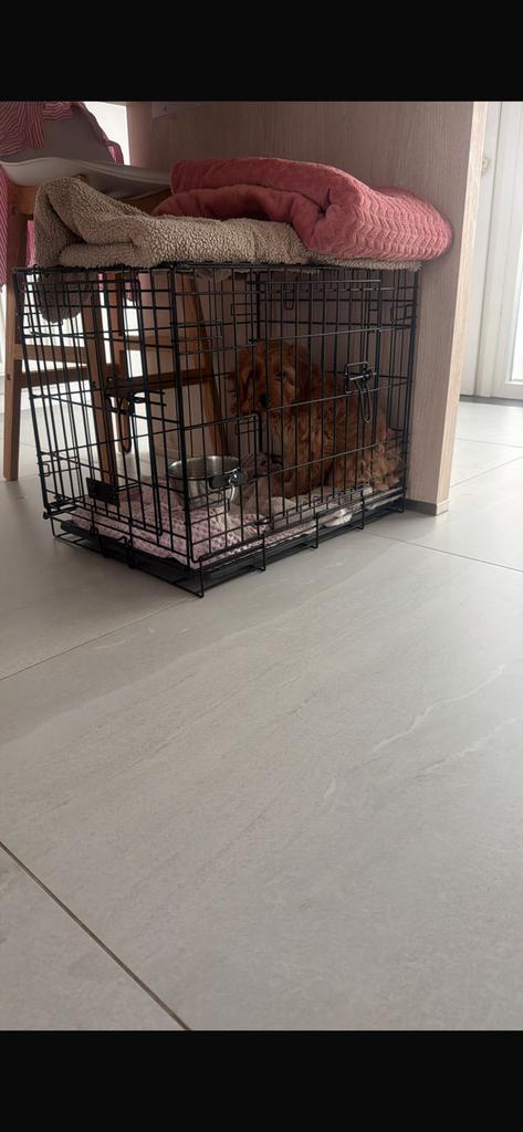 Kleine bench, Animaux & Accessoires, Caisses pour chiens, Enlèvement, Comme neuf