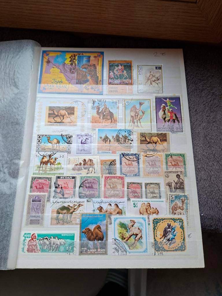 Postzegels kamelen, Ophalen