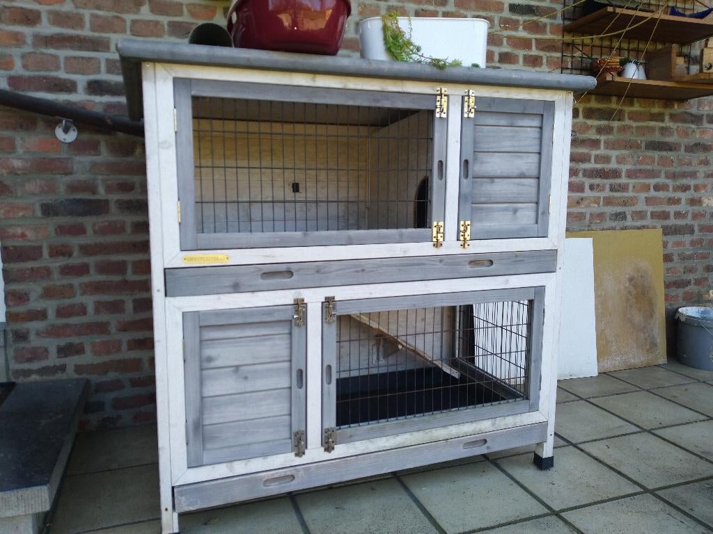 Matériel pour lapin nain, Animaux & Accessoires, Enlèvement, Comme neuf