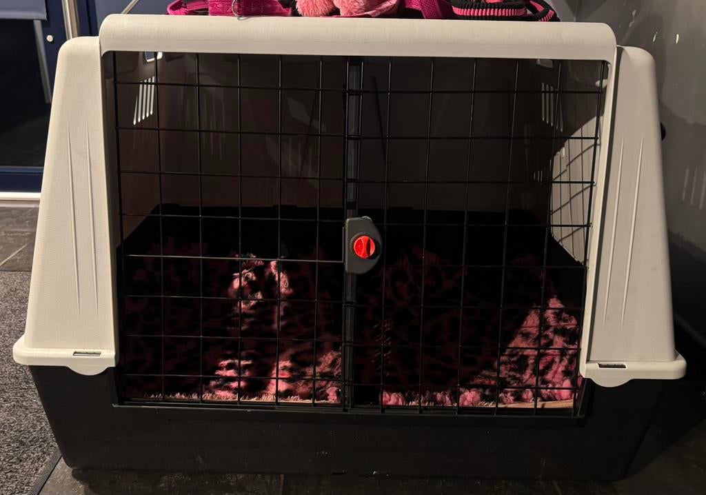 Cage de transport, Enlèvement, Comme neuf