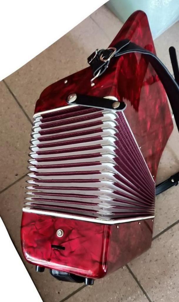 Accordeon - pianotoetsen - Prijs bespreekbaar, Ophalen, Gebruikt, Toetsaccordeon, Met koffer