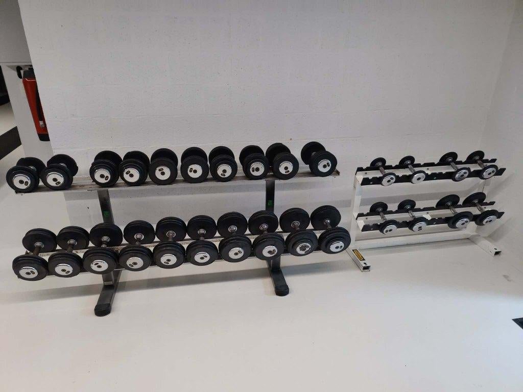 Halters/Dumbbells 3-28kg inclusief rekken, Sport en Fitness, Fitnessmaterialen, Gebruikt, Dumbbell, Armen, Benen, Borst, Buik