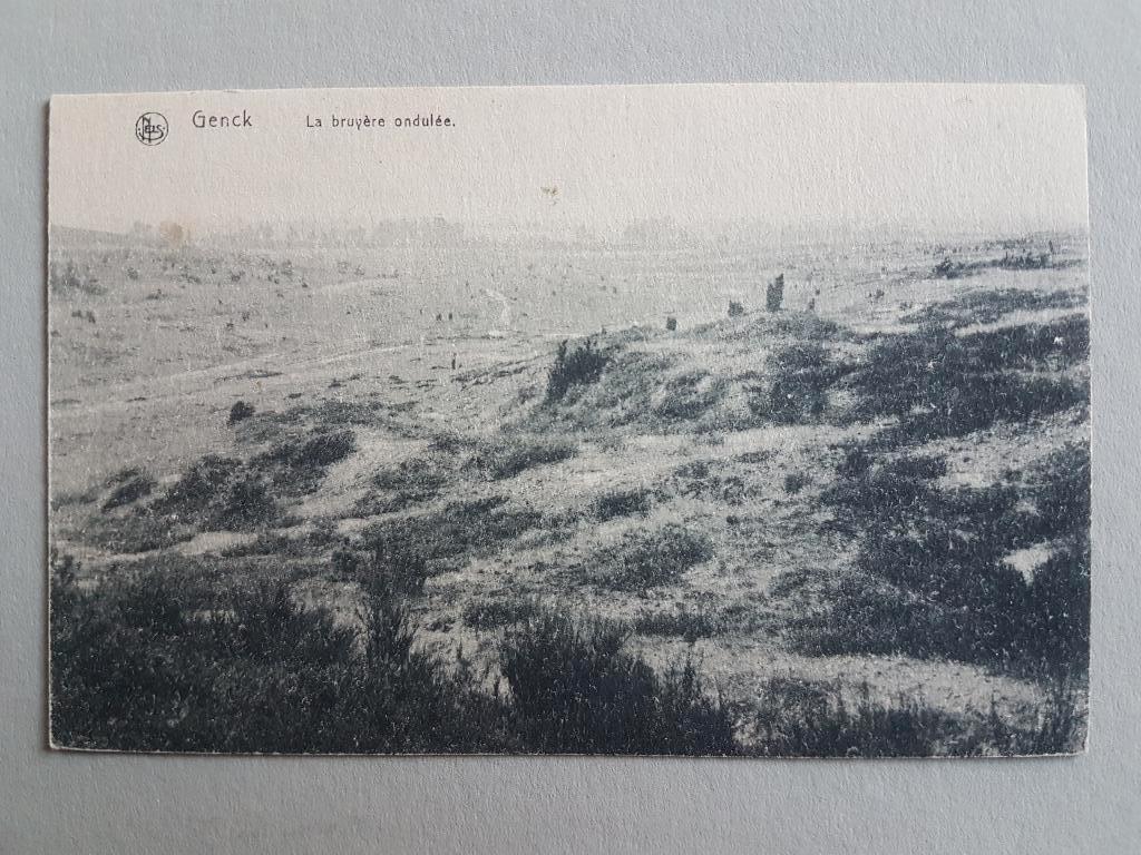 Postkaart Genk Genck La bruyère ondulée, Verzamelen, Postkaarten | België, Ongelopen, Limburg, 1920 tot 1940, Ophalen of Verzenden