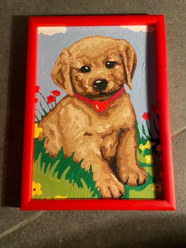 Selfpainted schilderij, Ophalen, Nieuw, Schilderen op nummer