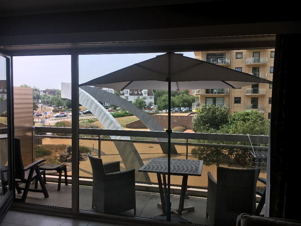 Zongerichte studio aan zee. KROKUSVERLOF NOG VRIJE PERIODES, Immo, Maisons à louer, Province de Flandre-Occidentale, Studio, En direct du propriétaire