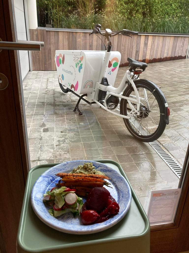 Boîte blanche Urban Arrow Cargo L, Vélos & Vélomoteurs, Autres marques, 47 à 51 cm, Enlèvement, Utilisé