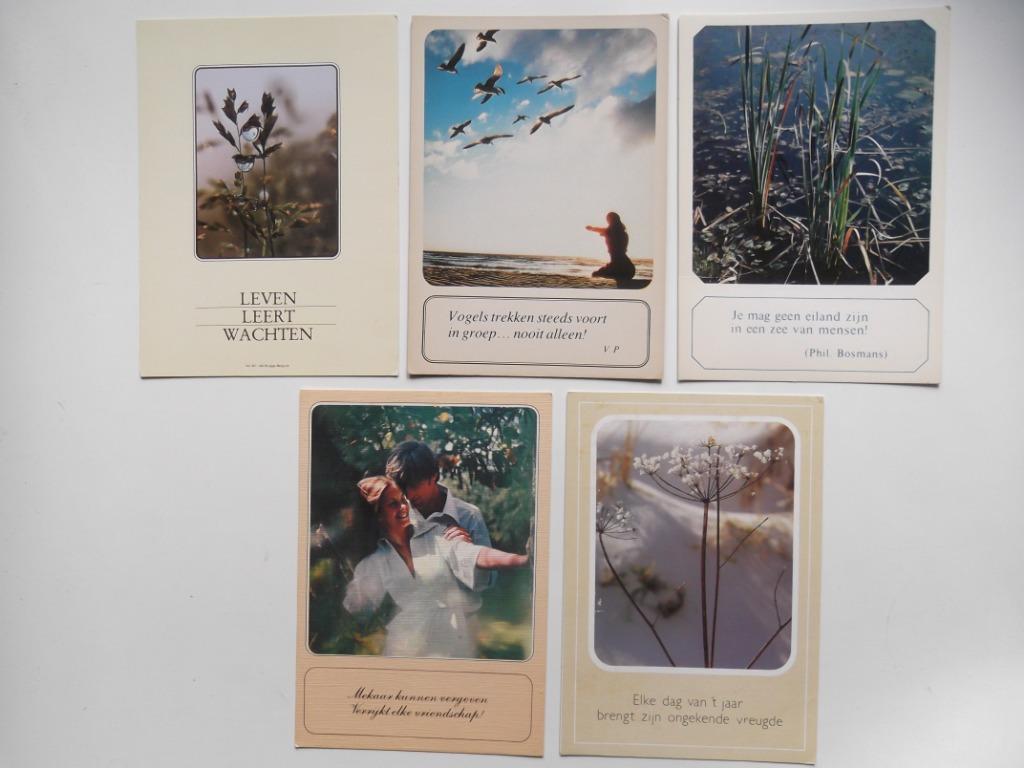 Wenskaarten met spreuken 2, Ophalen of Verzenden, Zo goed als nieuw