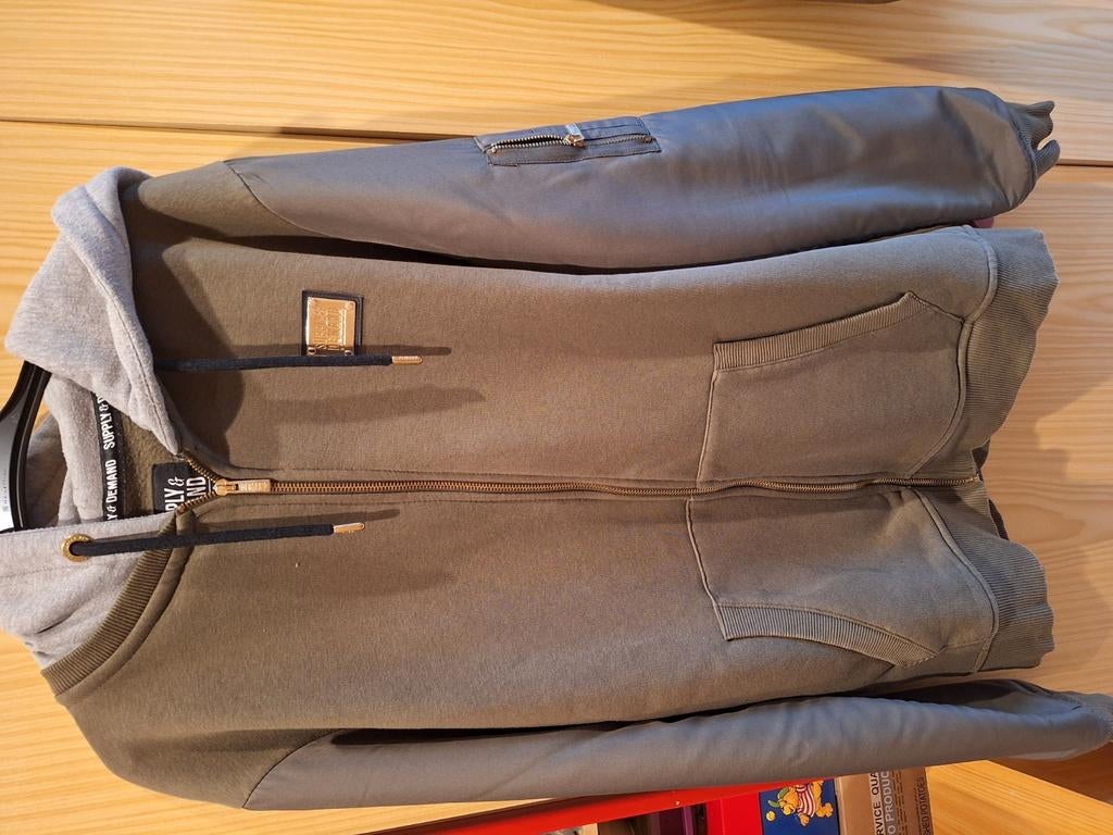 Sweater met rits en kap., Ophalen, Zo goed als nieuw, Maat 52/54 (L), Groen