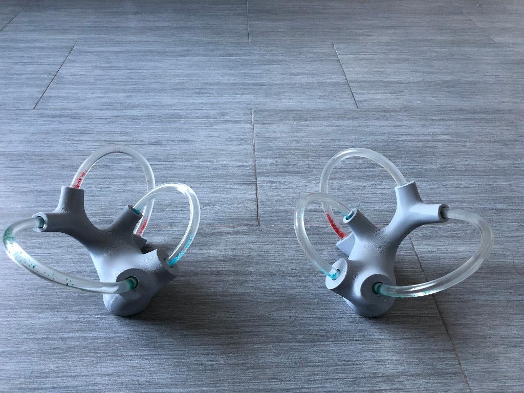 Modèle 3D organe vestibulaire dynamique, Ophalen of Verzenden