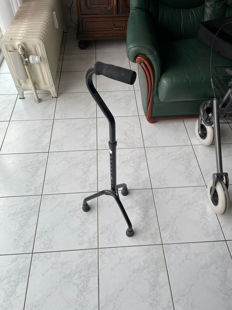 Voor senioren wandelstok, Diversen, Ophalen, Gebruikt