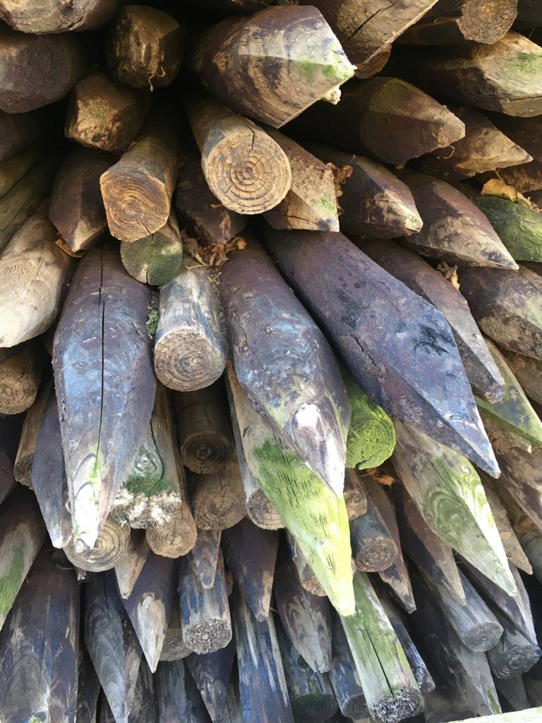 Boompalen schuttingpaal houten palen, Tuin en Terras, Palen, Balken en Planken, Ophalen, Zo goed als nieuw, 250 cm of meer, Palen