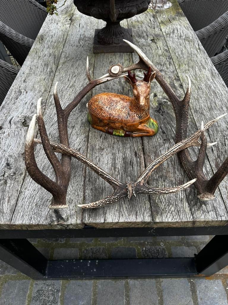 Gewei rek pate pot hert, Ophalen