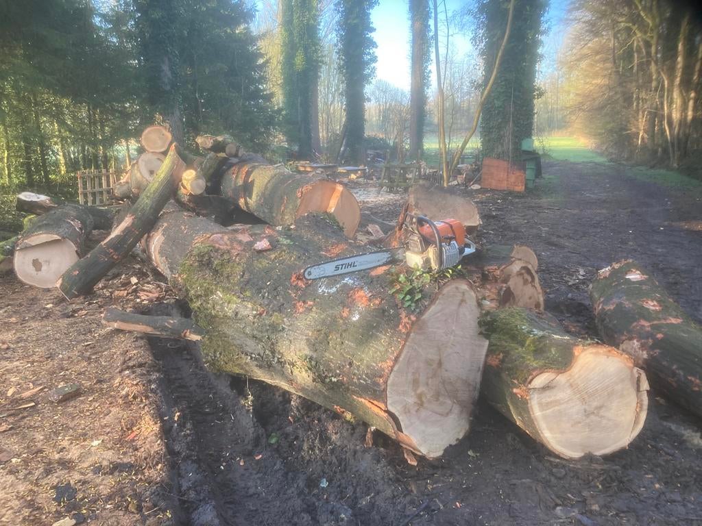 Brandhout, Tuin en Terras, 6 m³ of meer, Ophalen of Verzenden, Eikenhout, Blokken