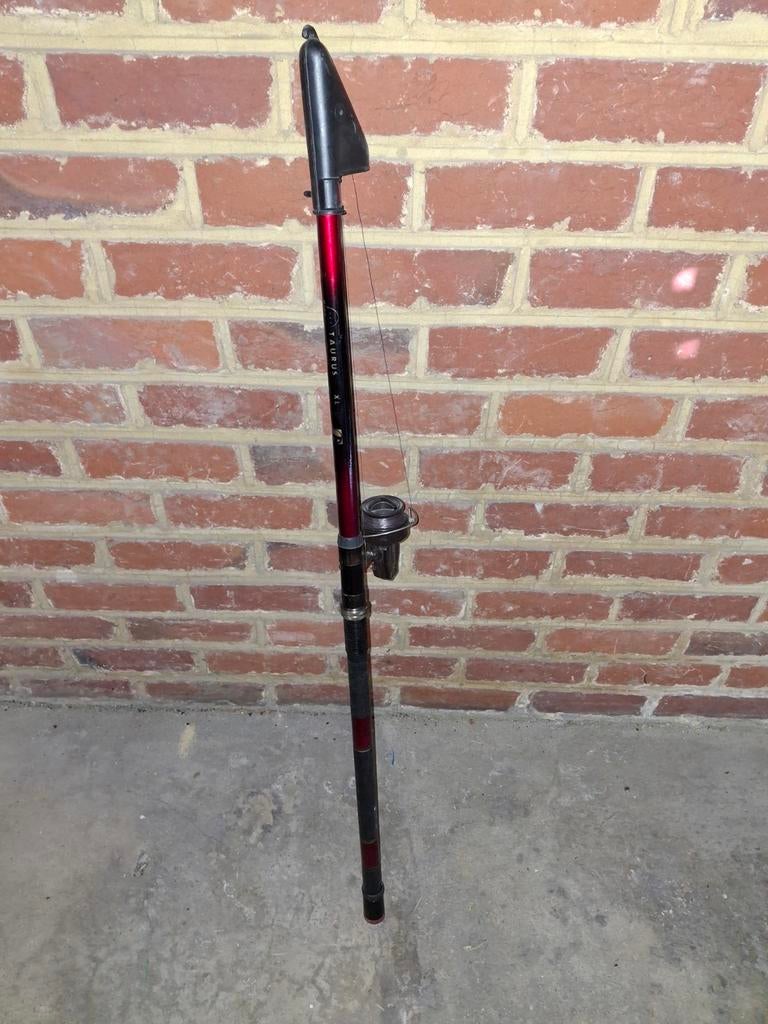 Canne à pêche, Enlèvement